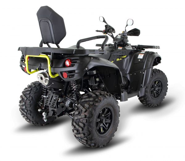 Quad ATV TGB 600 LT back view